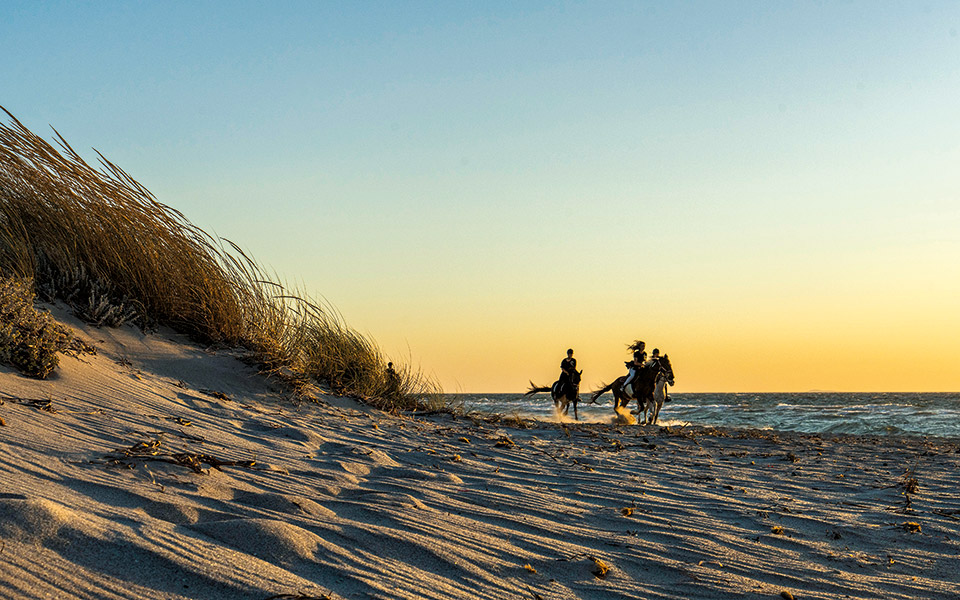 η-κως-συστήνεται-ξανά-561414385