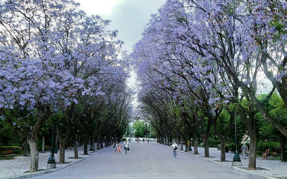 Επιστροφή μετά μουσικής στην κανονικότητα-1