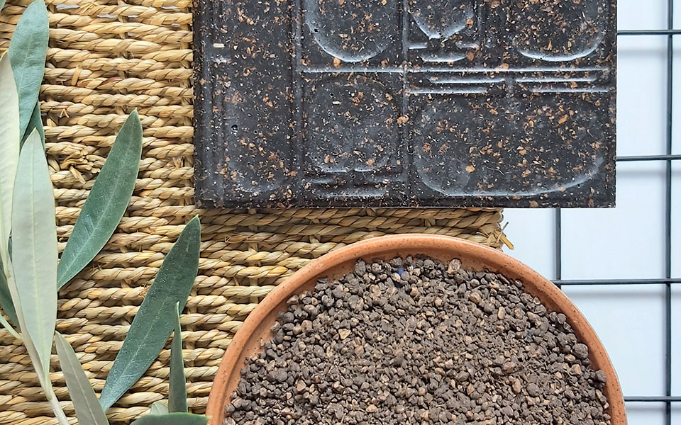 κουκούτσι-από-τη-λέσβο-στην-μπιενάλε-τ-561400042