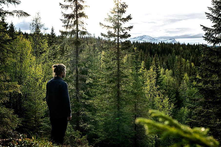 Τι έκανες στο δάσος, Markus;-1