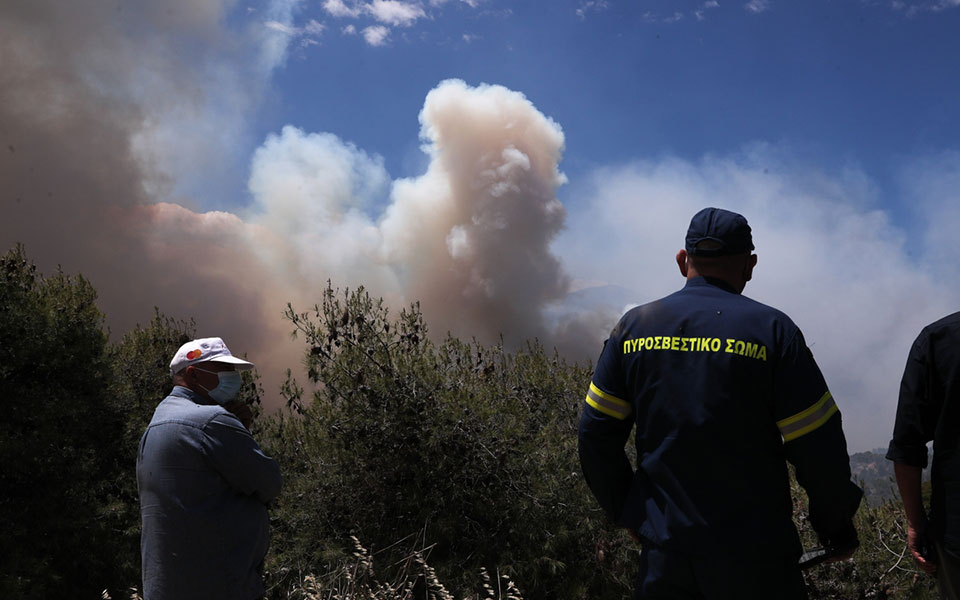 επιχείρηση-δρυάδες-παρεμβάσεις-απ-561396133