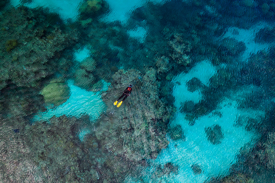 Τι χρειάζεται για να σωθούν τα πιο ευαίσθητα θαλάσσια οικοσυστήματα του πλανήτη; Η ROLEX έχει απαντήσεις…-8