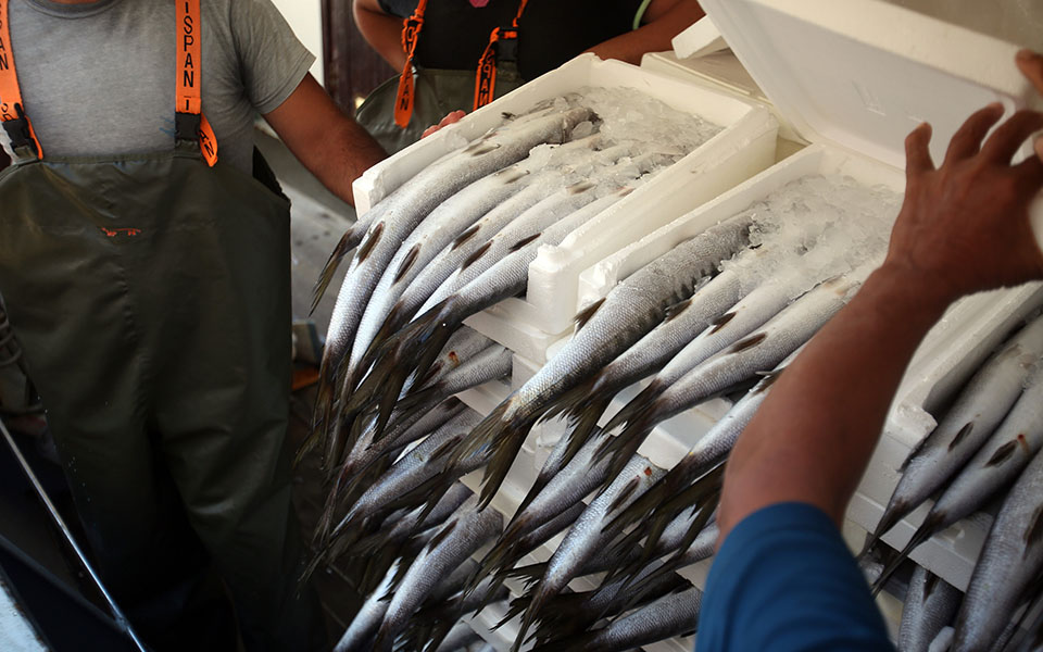 μεγάλες-ανατιμήσεις-σε-είδη-πρώτης-αν-561402277