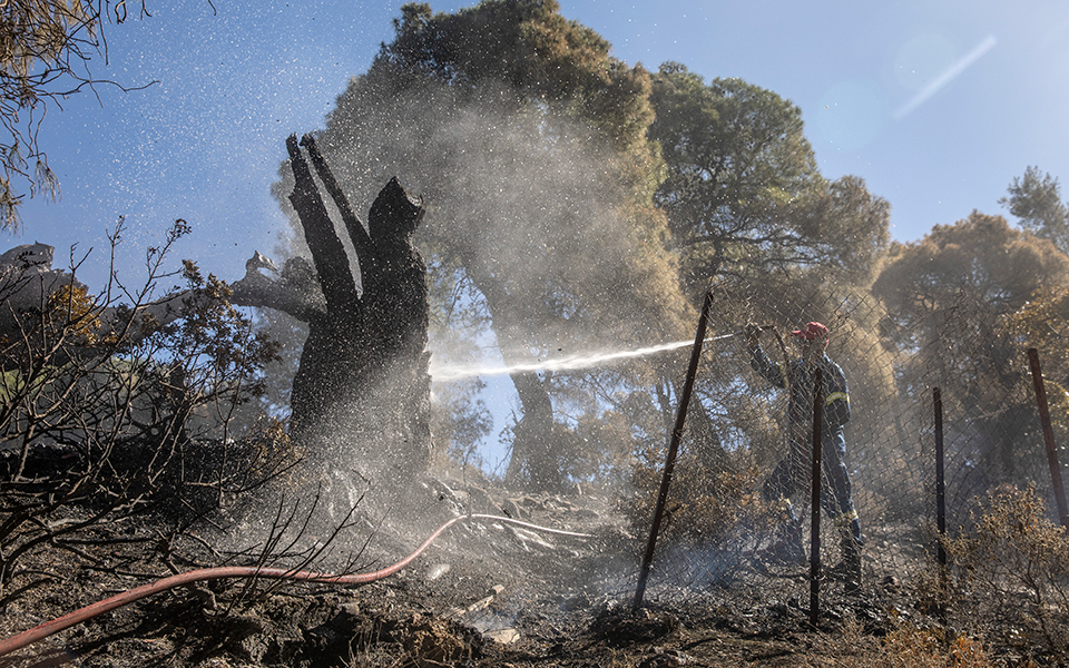 πυρκαγιά-σε-δασική-έκταση-στα-μέγαρα-561385420