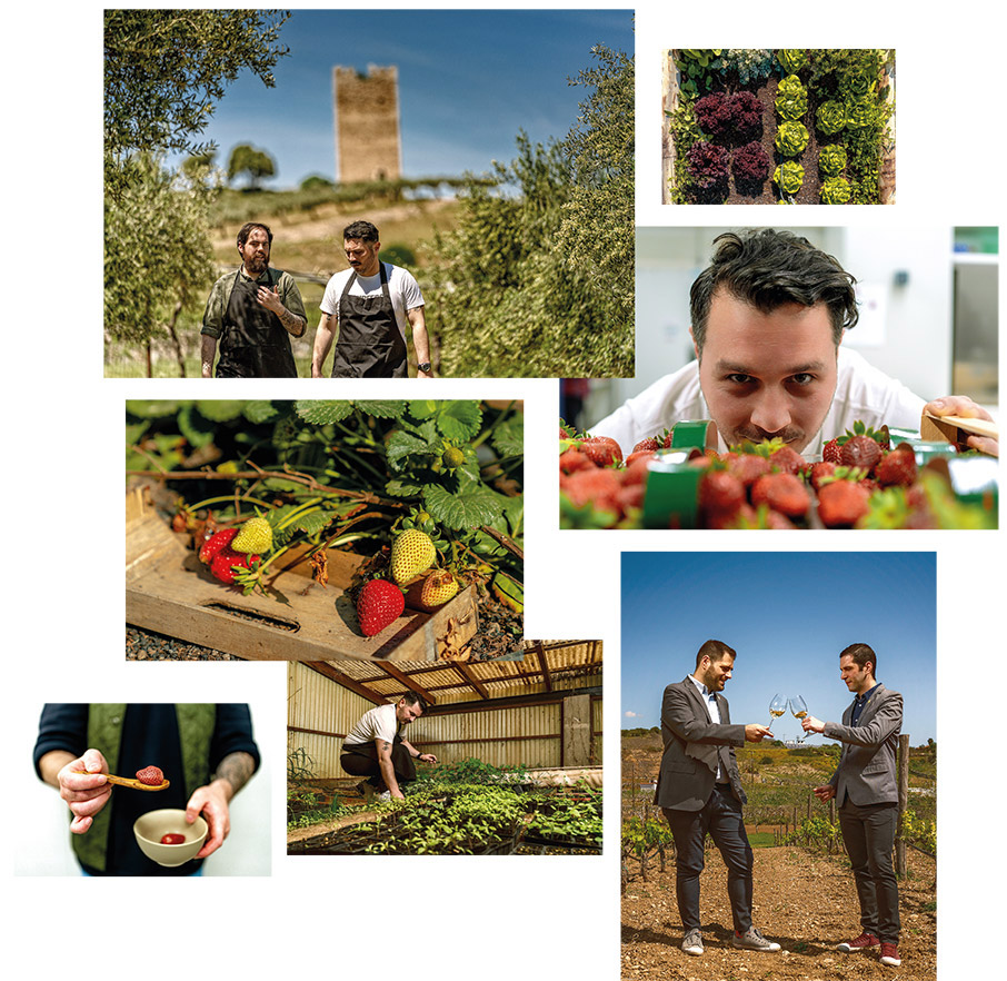 Από τη φάρμα στο Δέλτα: Ο νέος γαστρονομικός προορισμός-2