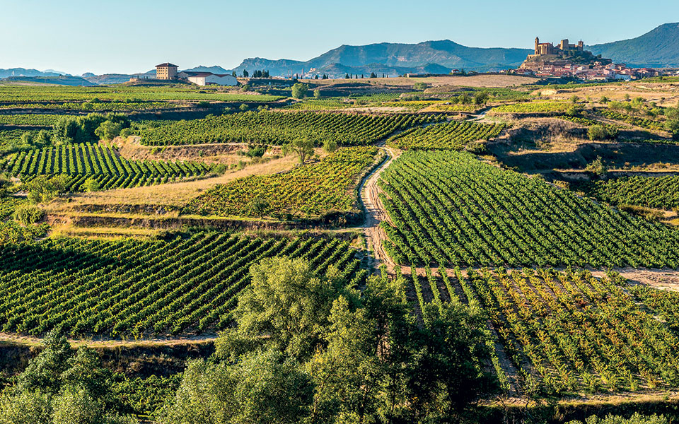 εβίβα-espana-561415252