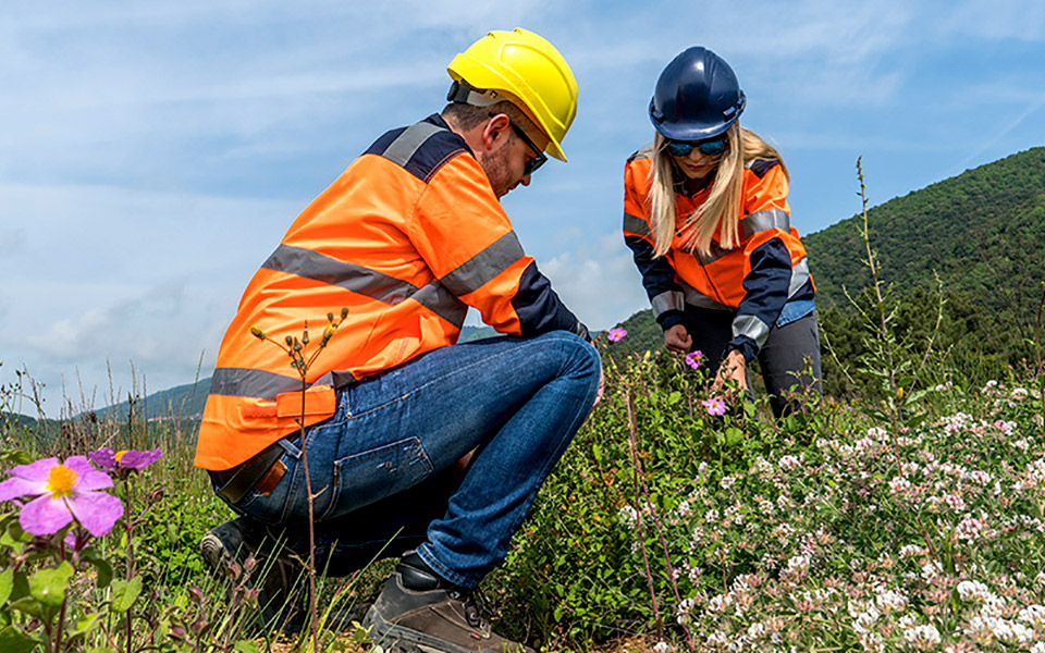 ενδημικά-φυτά-αντί-για-μεταλλευτικά-κ-561443479