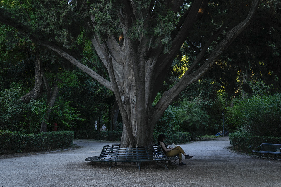 η-δική-μας-ανάσα-561432403