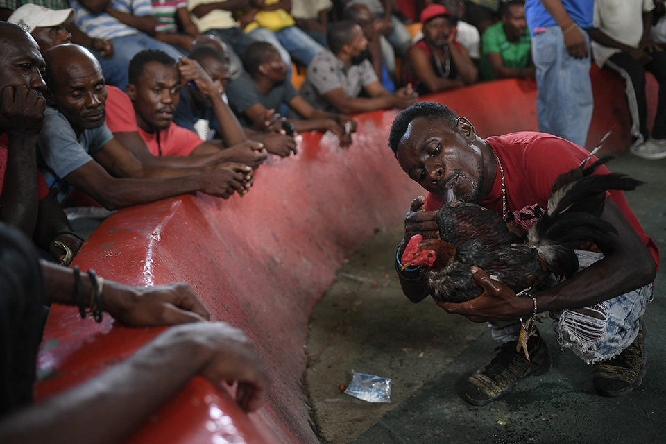 Αιματηρή μάχη