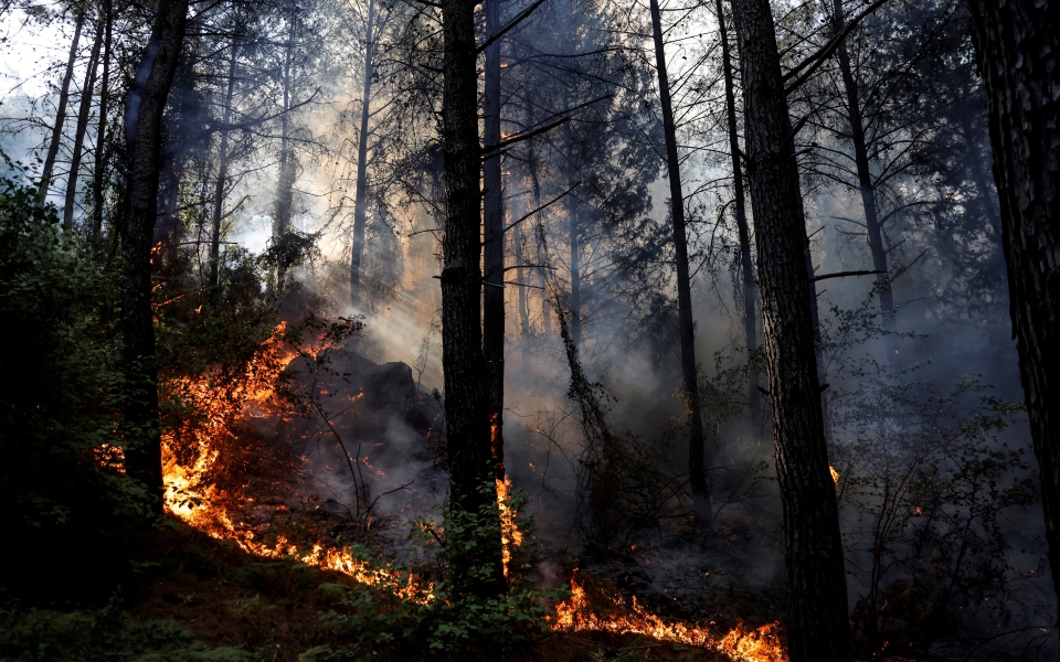 φωτιές-στην-τουρκία-ο-ερντογάν-κήρυξε-561453037