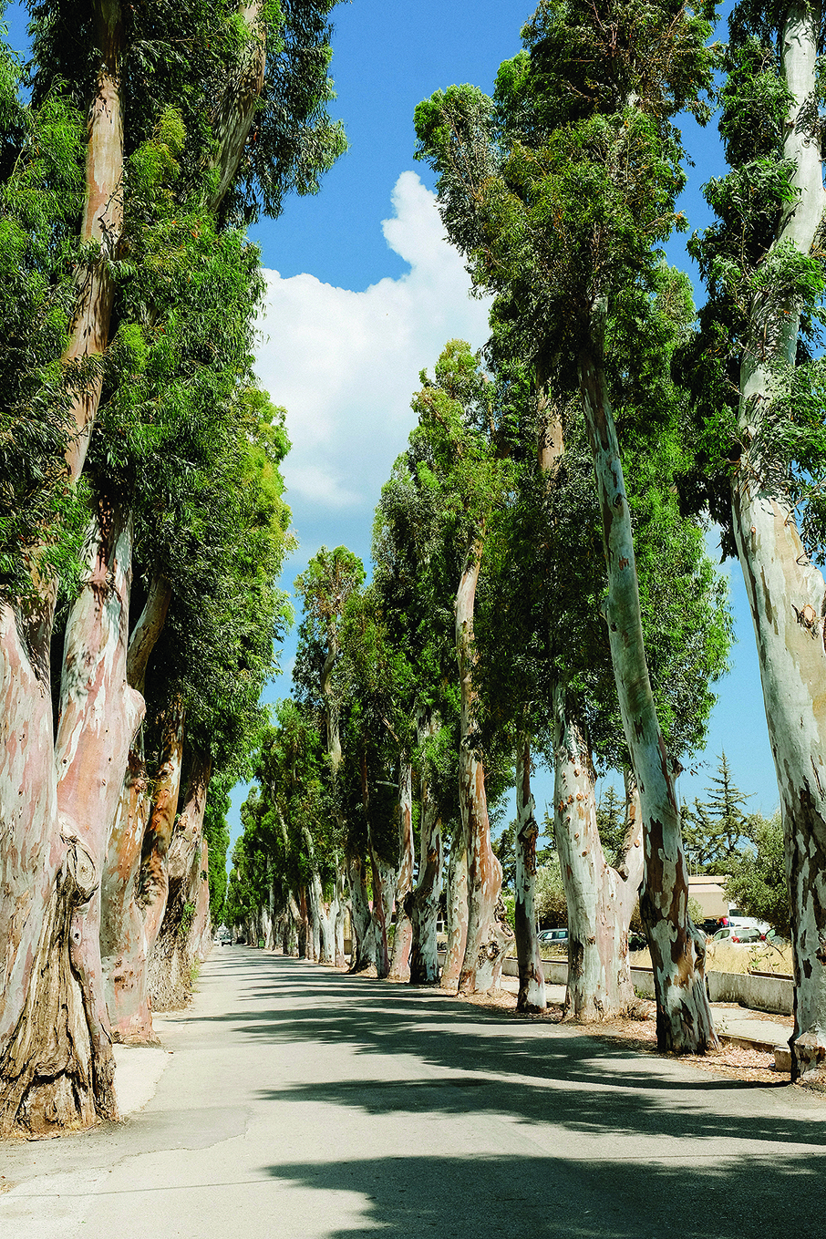 Η Ρόδος αυτών που ξέρουν-18