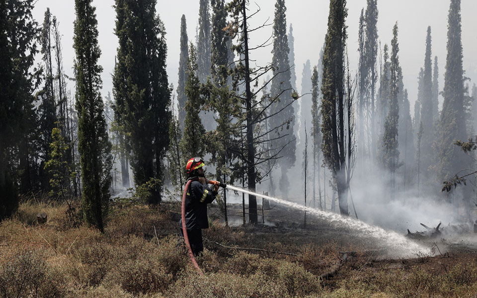 φωτιά-στο-σέλινο-χανίων-βίντεο-561432418