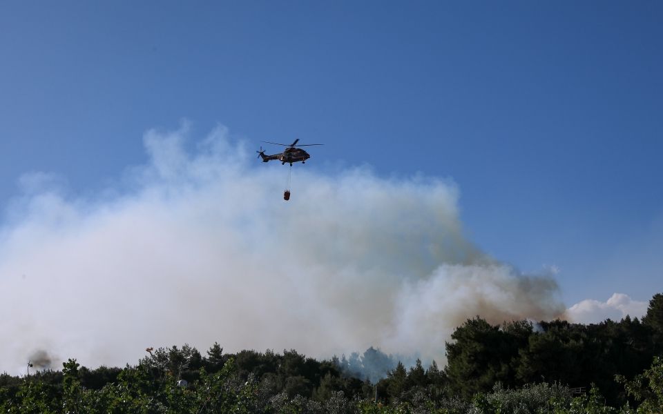 φωτιά-στον-διόνυσο-αττικής-από-κεραυν-561422737