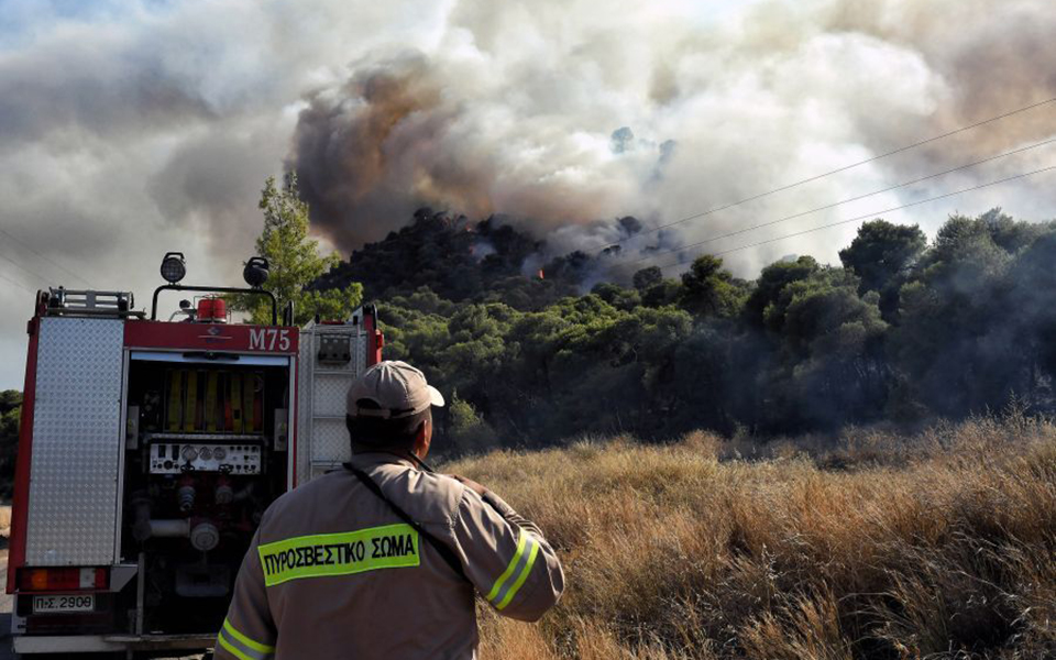 φωτιά-στην-αχαΐα-ολονύχτια-μάχη-έδωσε-561449974