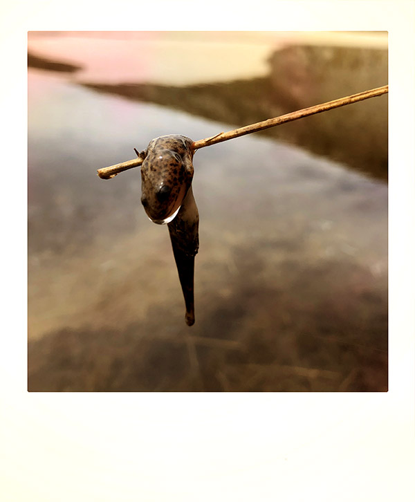 Η χαρά του «μαζί» στη Δρακόλιμνη Τύμφης-2