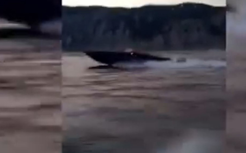 λευκάδα-βίντεο-ντοκουμέντο-από-την-561436294