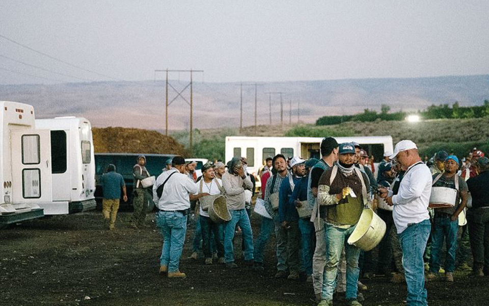 εφιάλτης-θερινής-νυκτός-561452461