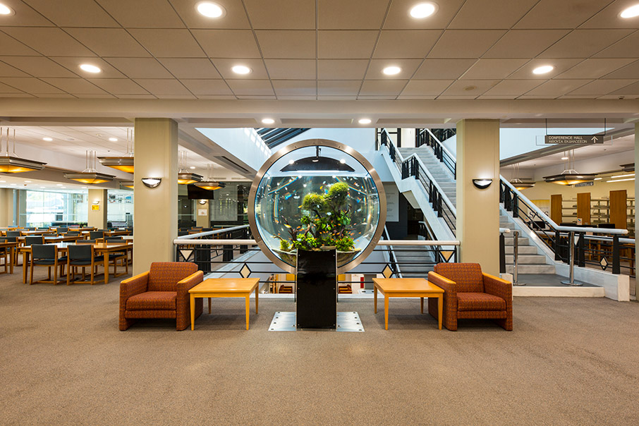 Εκπαιδεύοντας τους νέους για κάθε πιθανό μέλλον-1