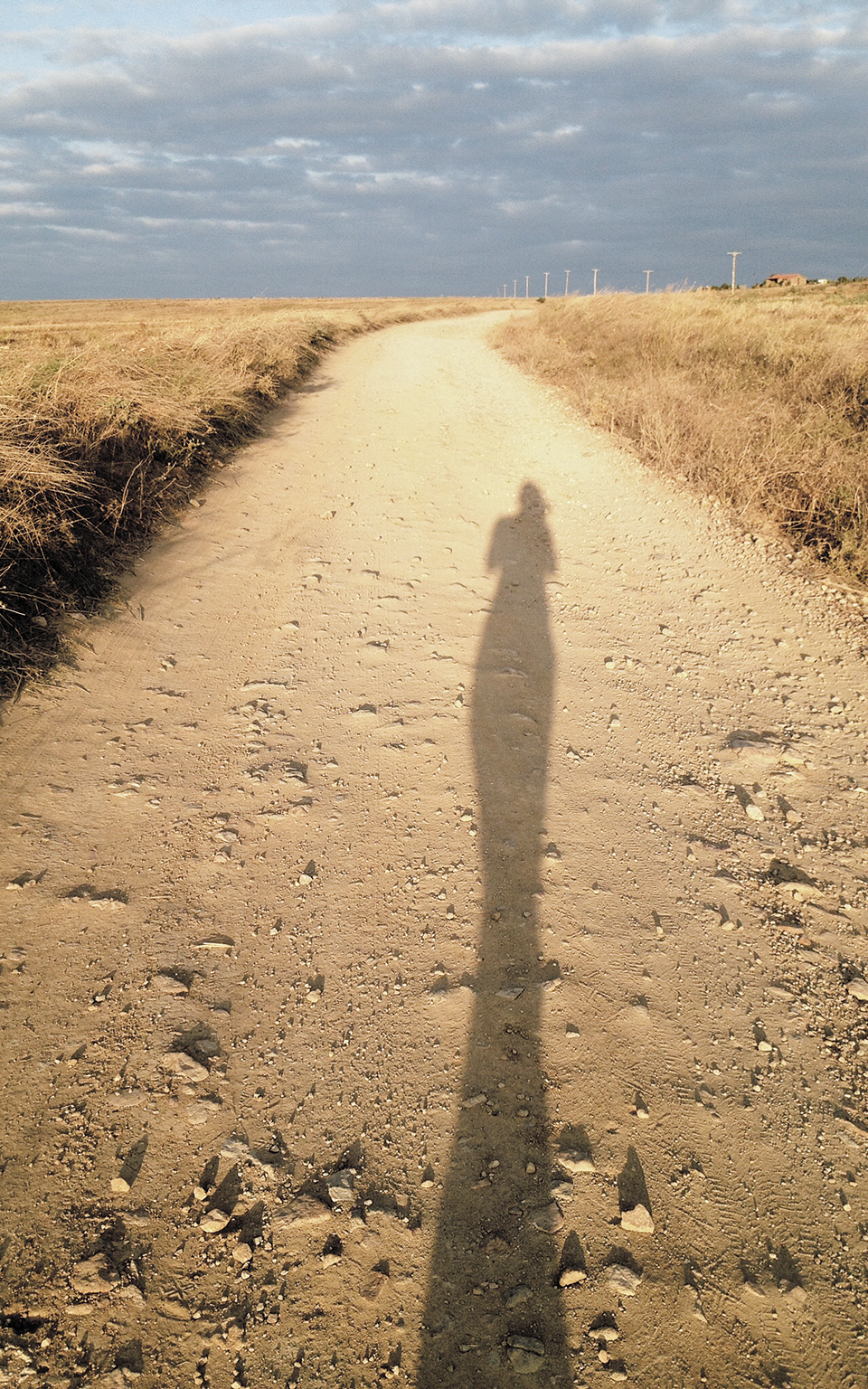 Ολοι οι δρόμοι οδηγούν στη Λήμνο-1