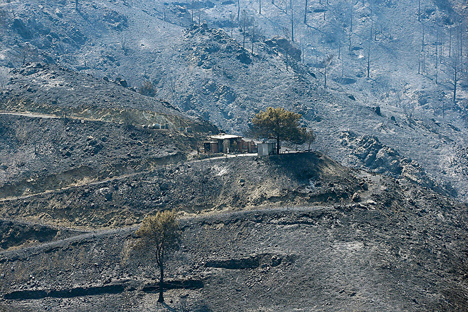 Μετράει πληγές η Κύπρος μετά την πυρκαγιά-2