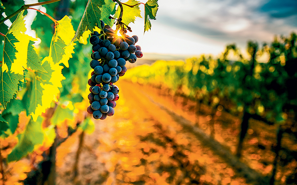 το-γόνιμο-τετ-α-τετ-δύο-στοχαστών-561429343