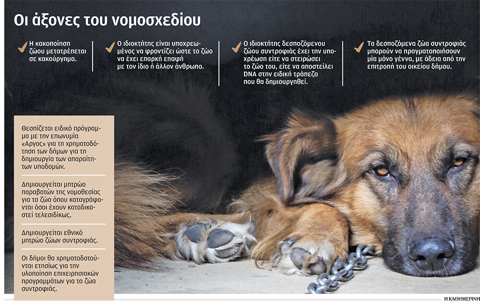 Χρυσή τομή στο ζήτημα της στείρωσης-1