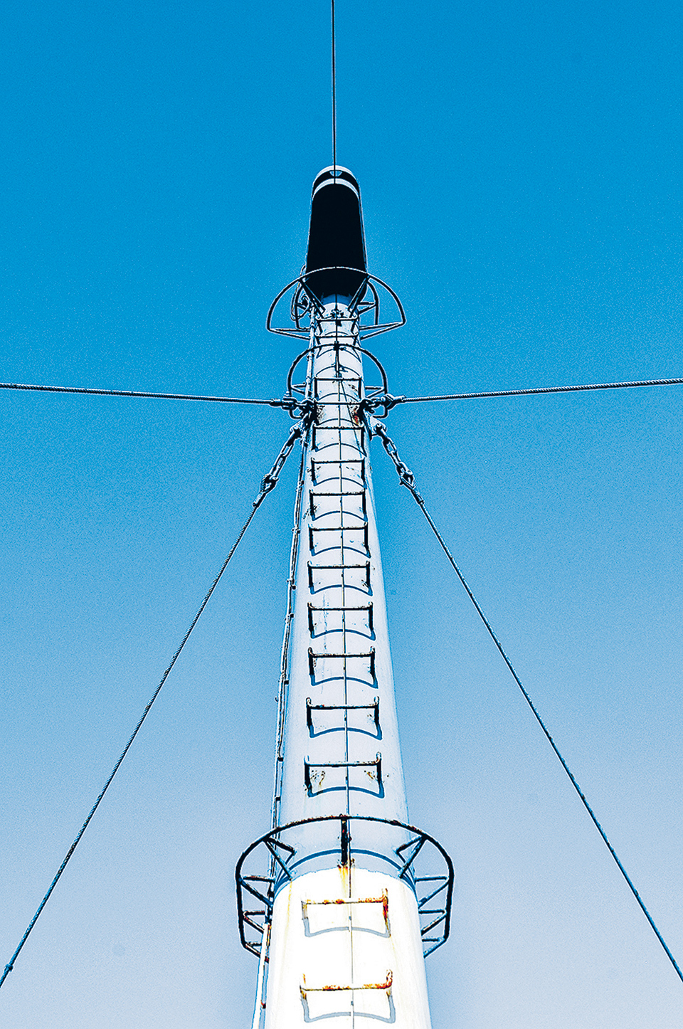 Οι «ρεμπέτες» των ελληνικών θαλασσών-7