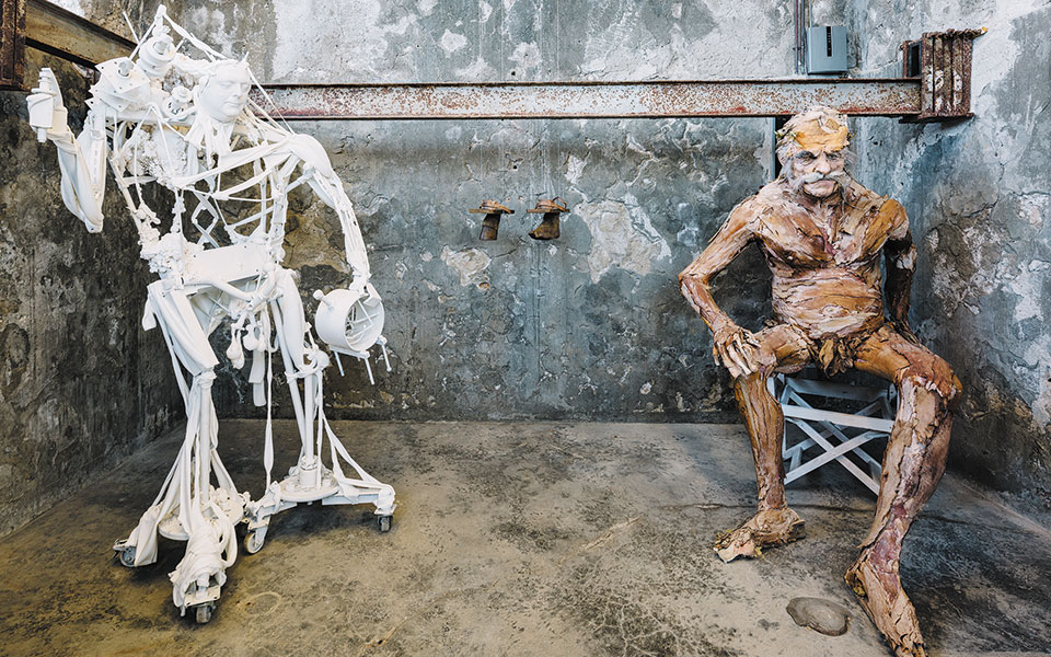 η-ύδρα-των-συλλεκτών-και-της-τέχνης-561432940