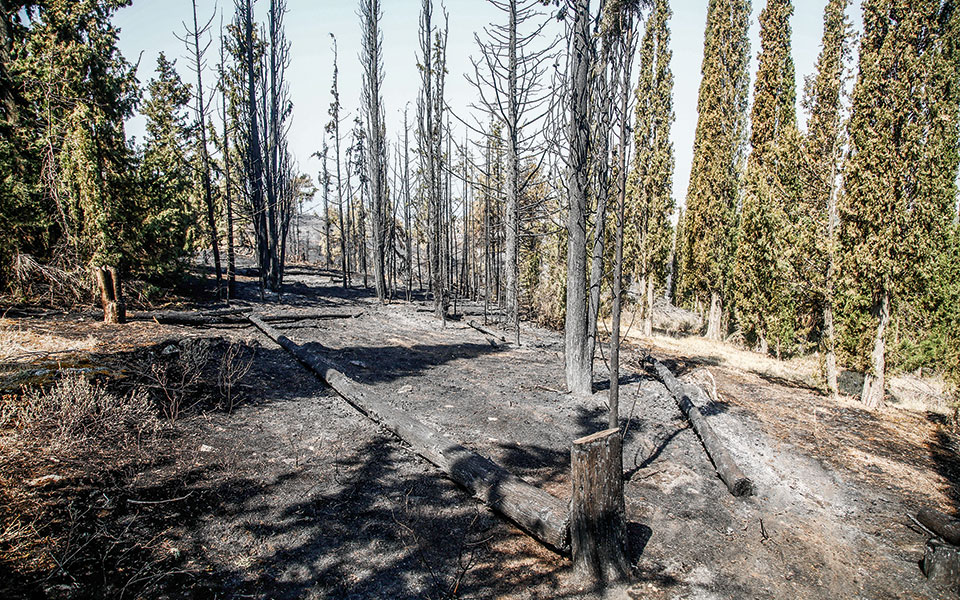 σέιχ-σου-η-προστασία-του-ξανά-στο-προσκ-561434089