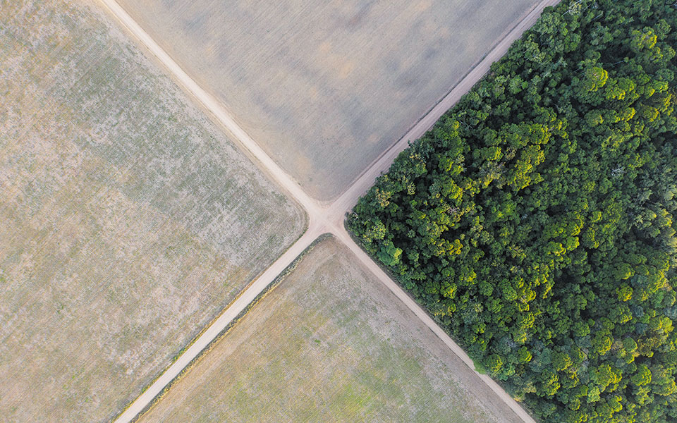 πηγή-διοξειδίου-του-άνθρακα-αποτελεί-561435409