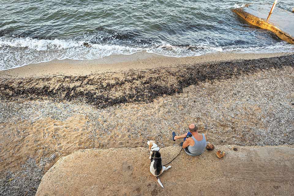 Τρία χρόνια μετά την πυρκαγιά στο Μάτι: Ακόμη κλείνουν πληγές-3