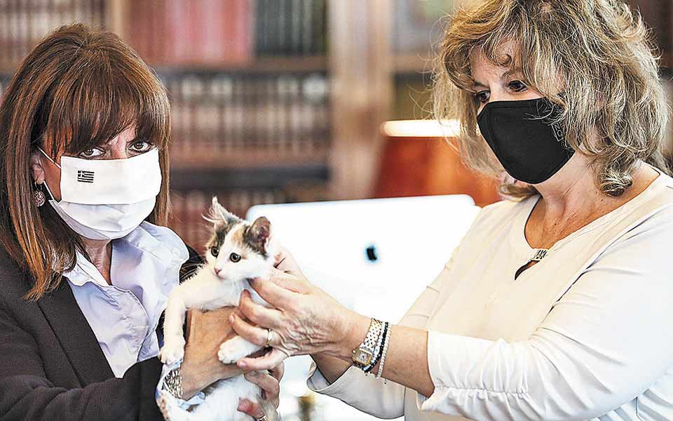 η-φιλοζωική-δράση-καρπάθου-μάς-δείχνε-561438094