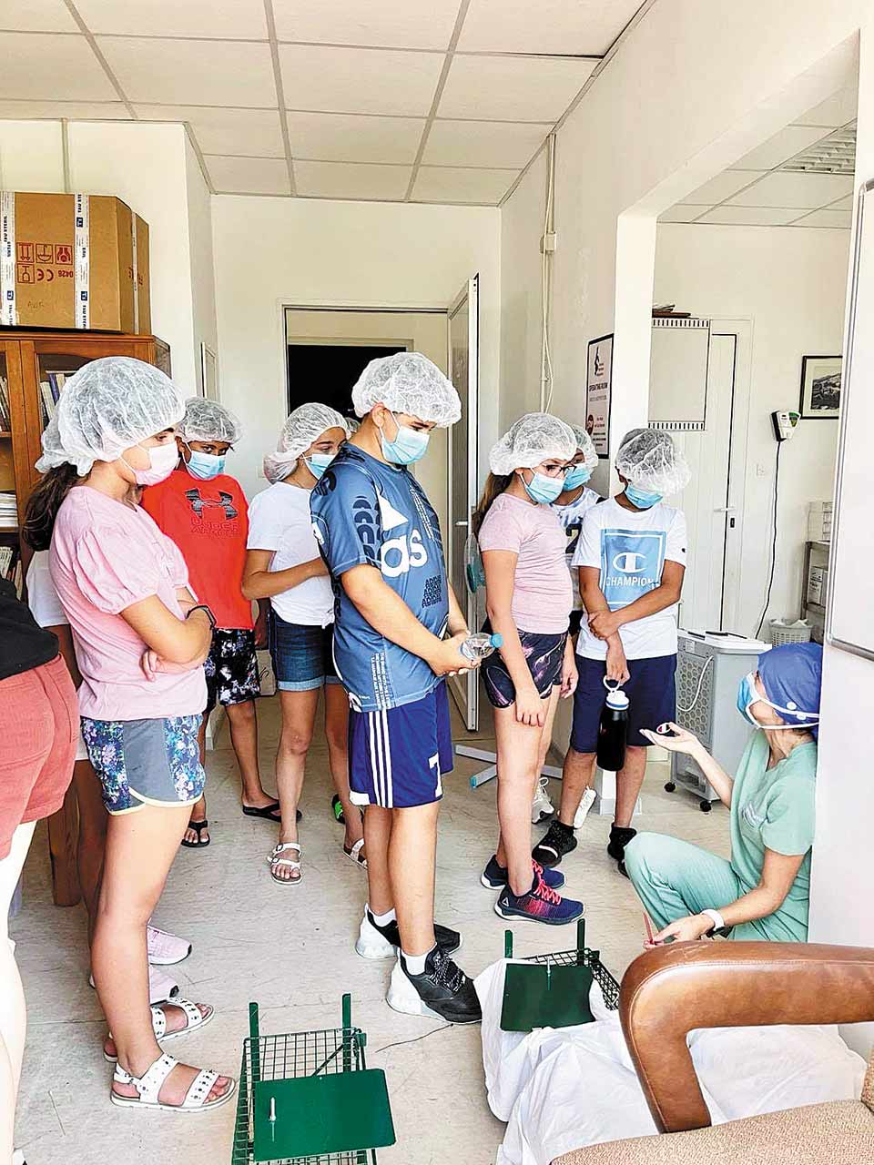 Η Φιλοζωική Δράση Καρπάθου μάς δείχνει τον δρόμο για τη σωτηρία των αδέσποτων-3