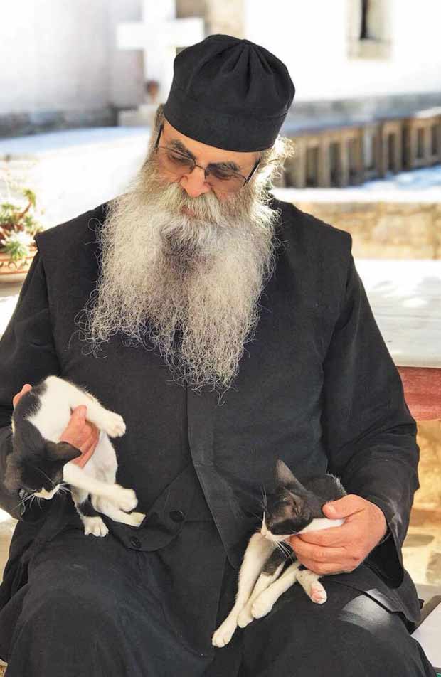 Η Φιλοζωική Δράση Καρπάθου μάς δείχνει τον δρόμο για τη σωτηρία των αδέσποτων-2