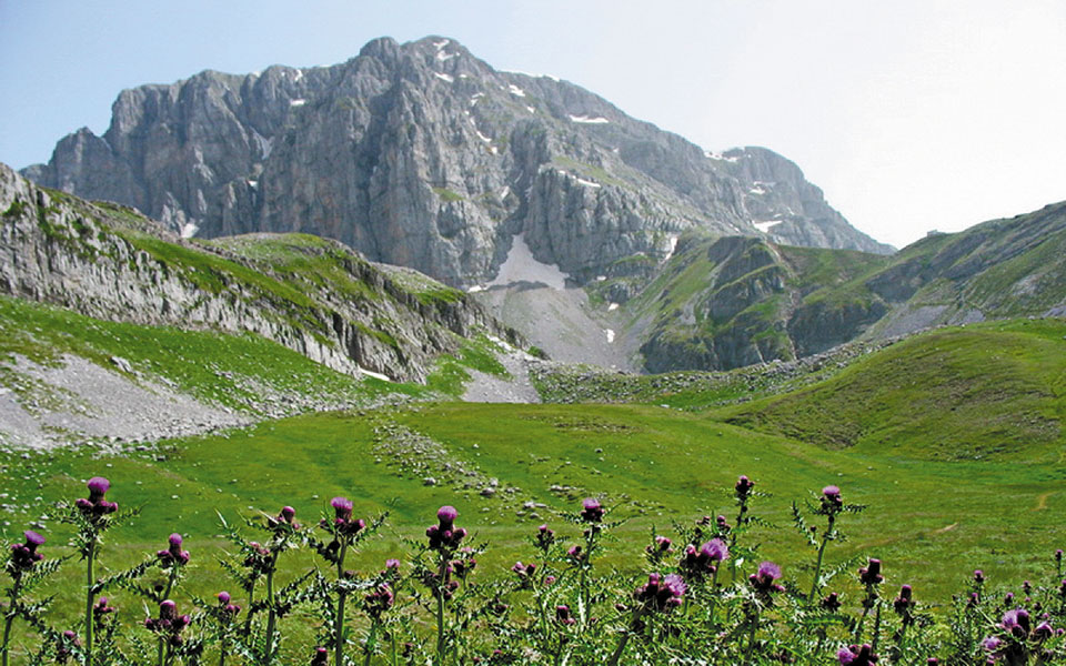 οι-σοβαρές-συνέπειες-από-τις-ανεμογεν-561440722