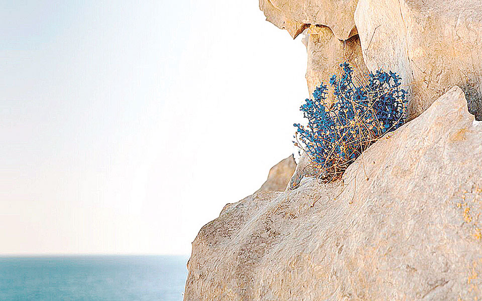 Το αρχοντικό Τομπάζη της Υδρας αναπνέει ξανά μέσα από μια εικαστική έκθεση-2