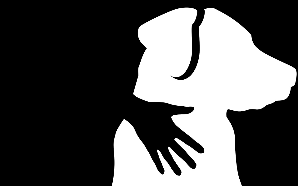 θα-εγκατέλειπες-για-πάντα-το-φιλαράκι-561452707