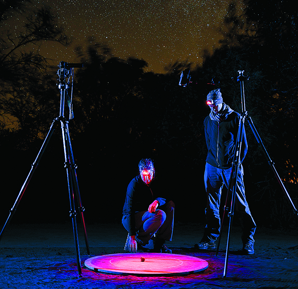 Πολλά ζώα χάνουν τον δρόμο τους εξαιτίας της φωτορρύπανσης-1