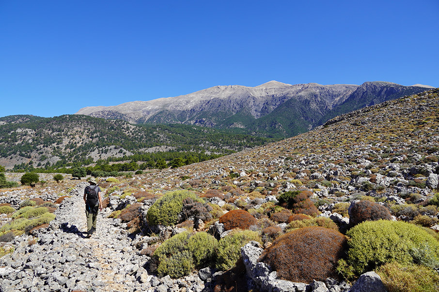 Chania Trails: Τα Χανιά δείχνουν το… μονοπάτι-3