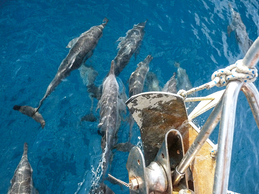 Κανείς δεν ξέρει τις ελληνικές θάλασσες όσο ο Ροντ & η Λουσίντα Χαϊκελ-5