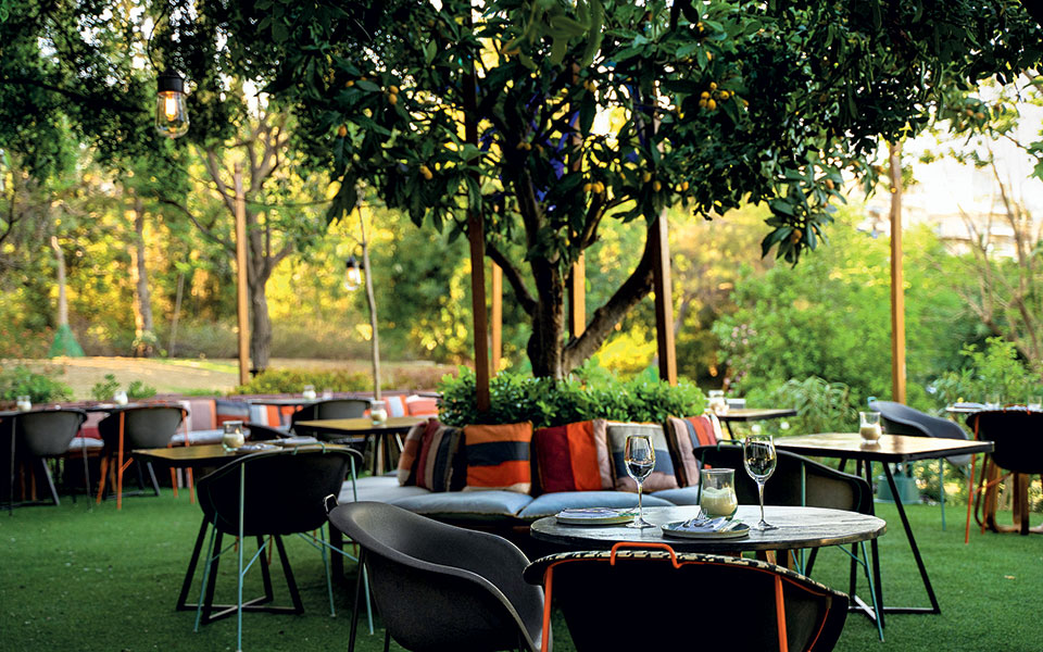 πιάτα-από-κήπο-561442576