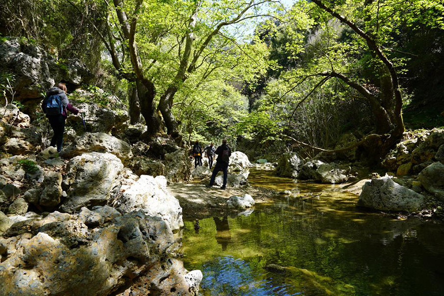Chania Trails: Τα Χανιά δείχνουν το… μονοπάτι-4