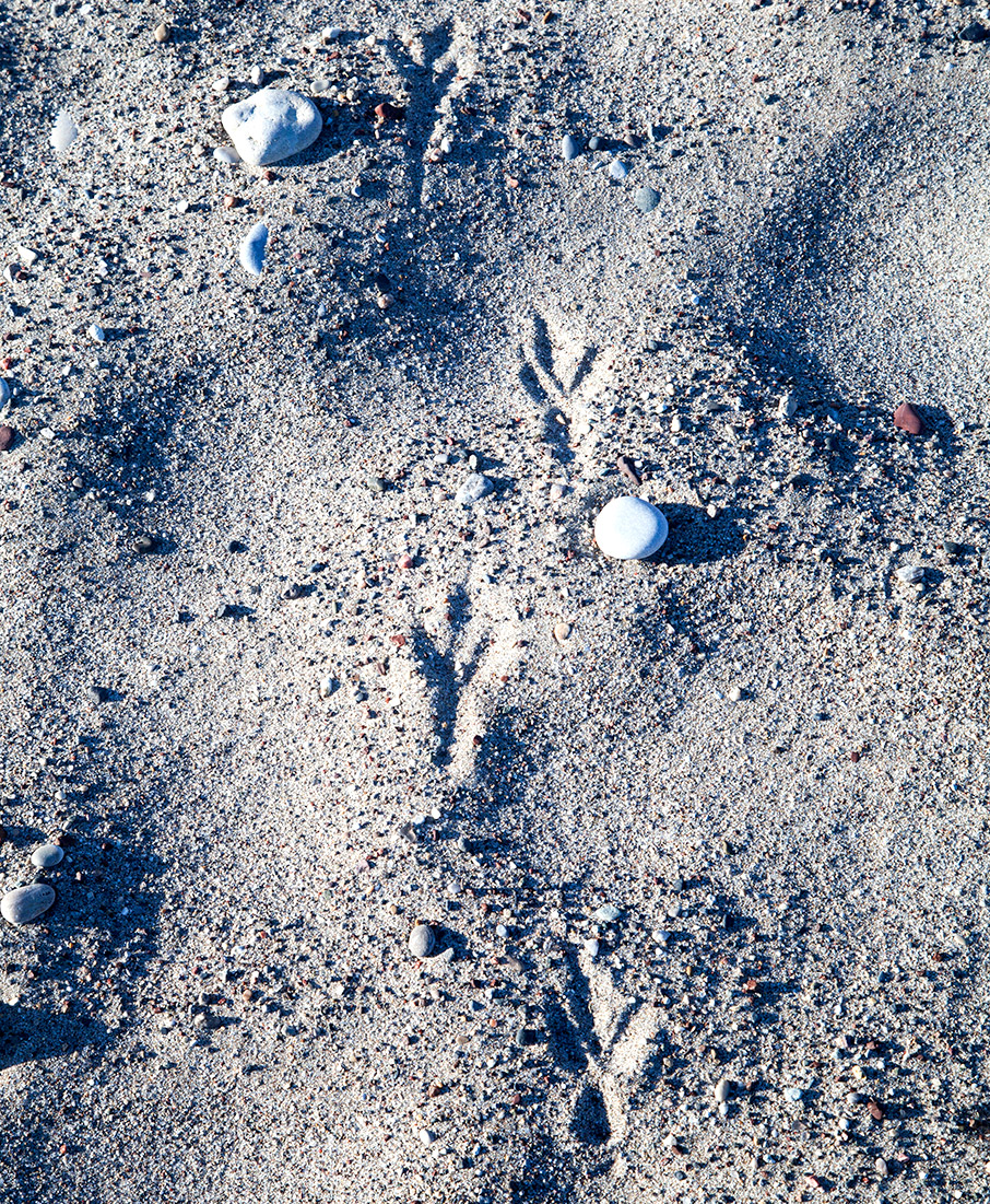 Καλοκαίρι είναι…-3