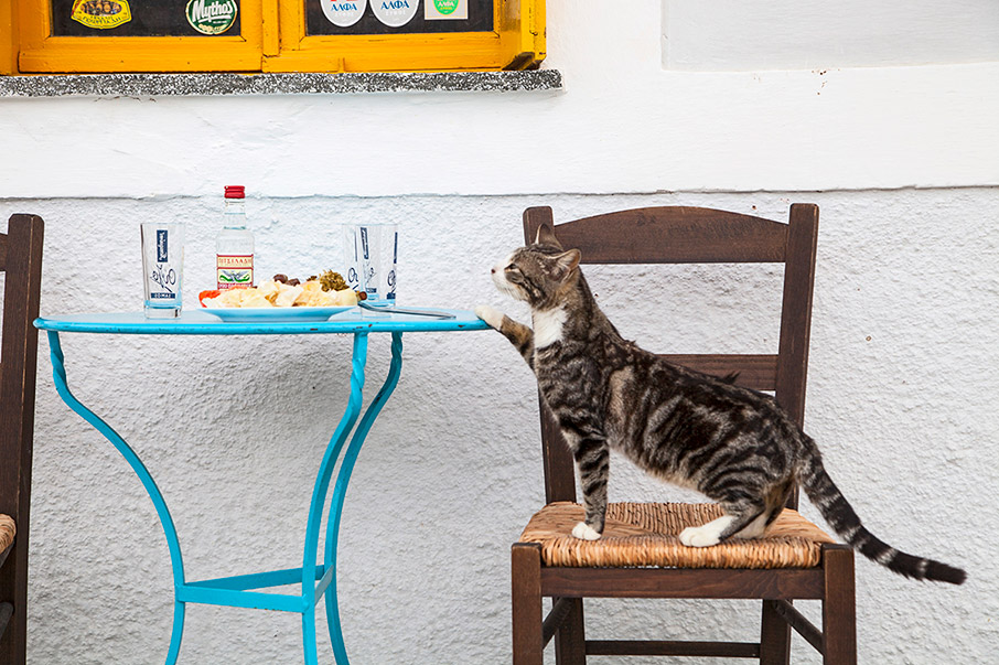 Καλοκαίρι είναι…-4