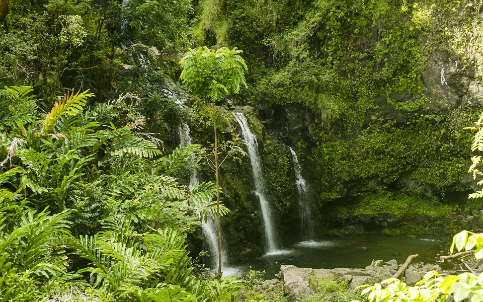 Τουρισμός: Το νησί που παρακαλάει για λιγότερους τουρίστες (εικόνες)-1