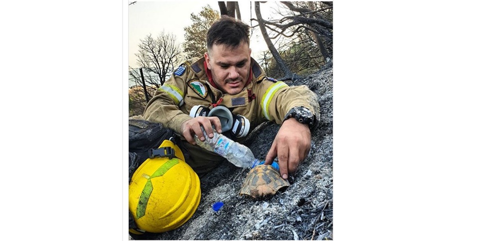 αχαΐα-ο-πυροσβέστης-που-έγινε-viral-στο-kathimerini-gr-561451549