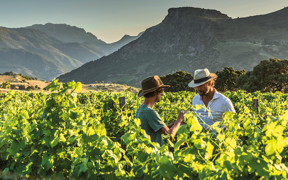 πολυτελείς-διακοπές-στο-αγρόκτημα-561430633