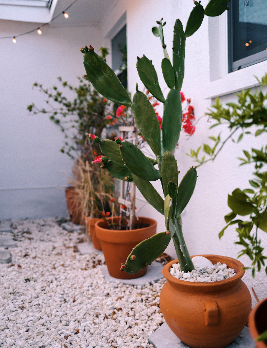 Πρωτότυπες ιδέες για διακόσμηση κήπου με πέτρα-4