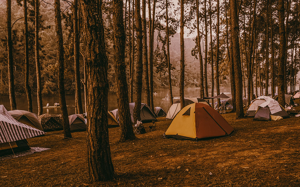 χαλκιδική-συναγερμός-για-κρούσματα-σ-561427861