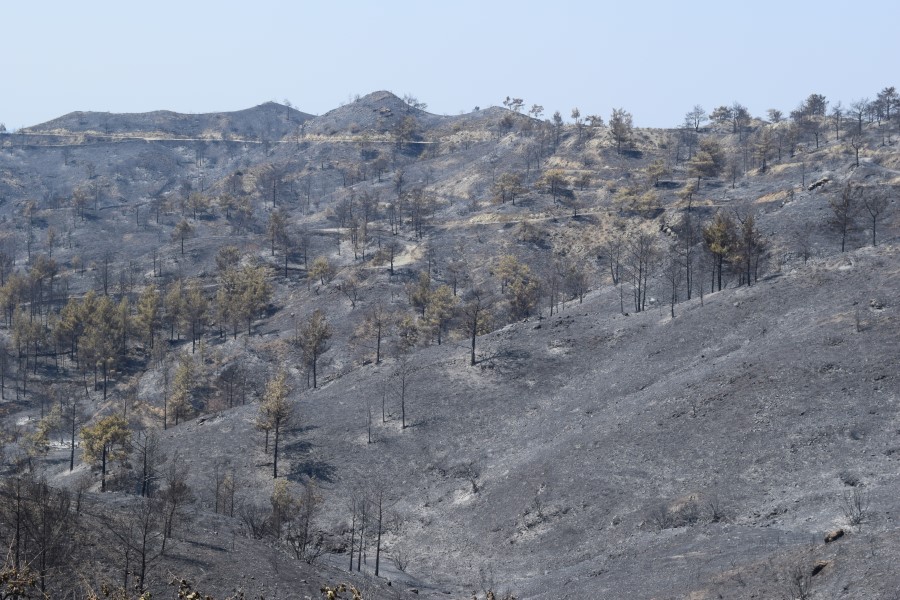 Κύπρος: Οδοιπορικό στις καμένες περιοχές (εικόνες – βίντεο)-2